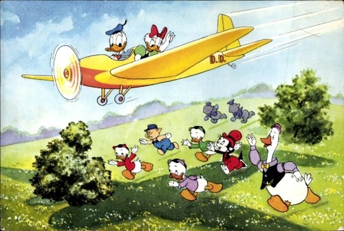 Walt disney donald duck - walt,